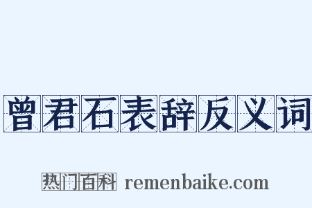 曾君石表辞反义词是什么意思的图片